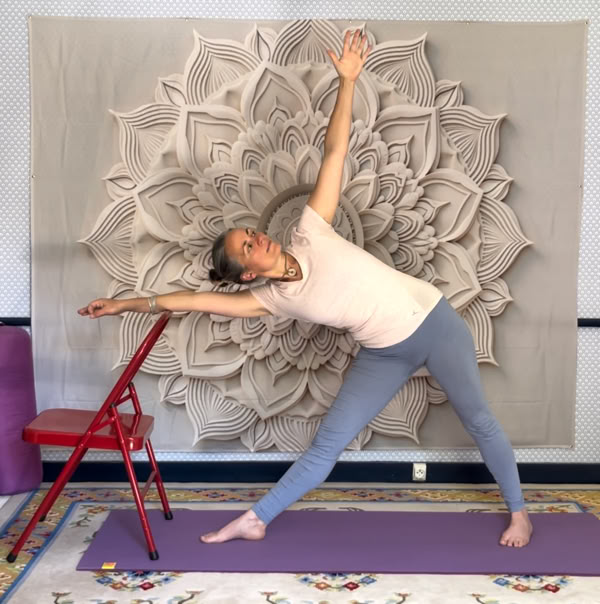 Cours de Hatha Yoga et yin Yoga en ligne en direct sur zoom